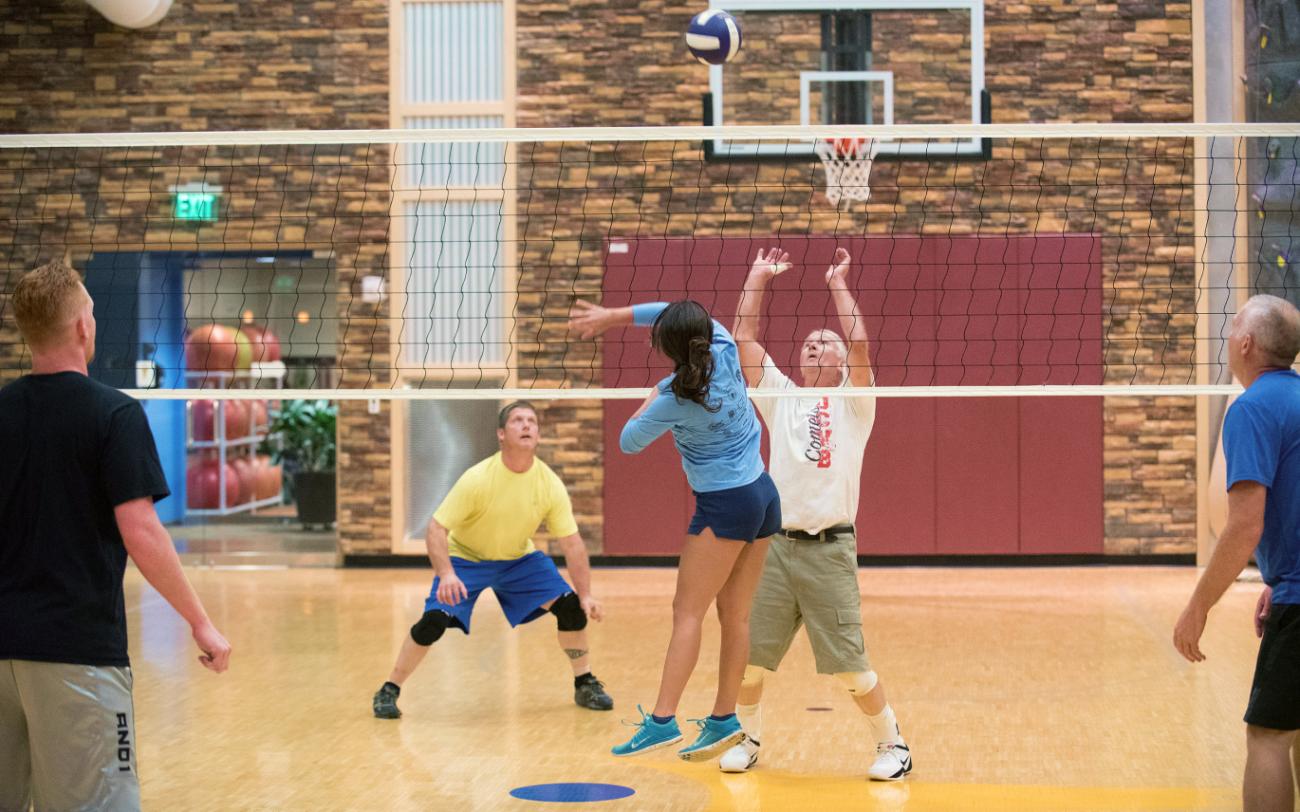people playing vollleyball